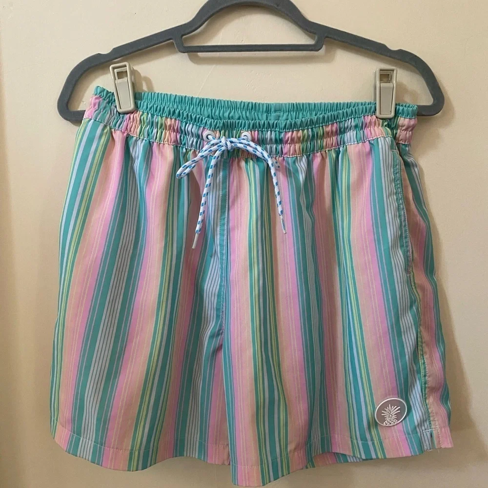 Chubbies Colorful Striped Men’s Swim Trunks Bottoms Shorts Size L 5.5” Pastel